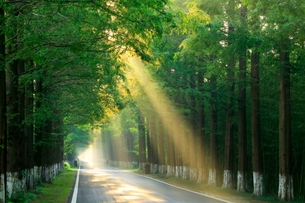 서울에서 2시간, 유네스코가 선택한 '생태 치유의 도시' 염성을 만나다