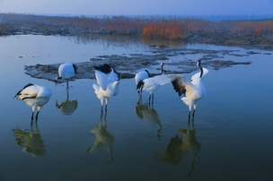 염성시 — 꼭 한 번 가봐야 할 자연 여행 명소