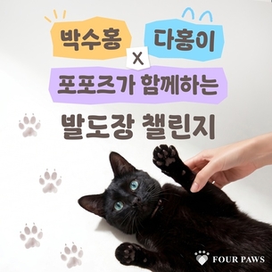 포포즈, 박수홍x다홍이와 함께 '발도장 챌린지' 진행
