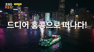 스타 셰프들이 영감 찾아 간 홍콩… 에그 와플·5코스 디너쇼·2대째 차찬텡 맛집 소개