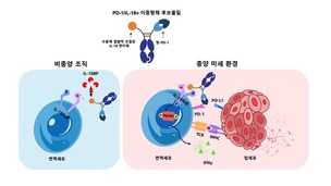 갤럭스, AI 설계 이중항체 면역항암제 국가신약개발사업 선정