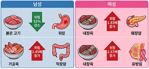 고기 많이 먹으면 암 위험? 한국인 14만명 대상 연구, '섭취량'보다 '종류' 주목